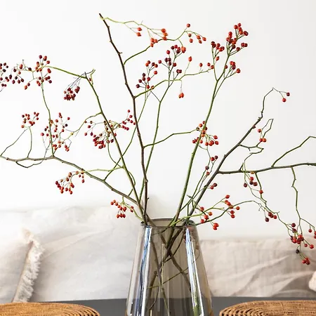 Maison Beaujean Βίλα