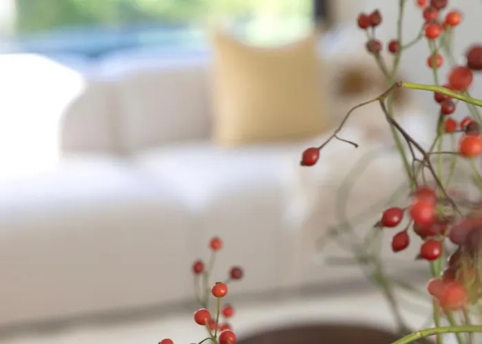 Villa Maison Beaujean *